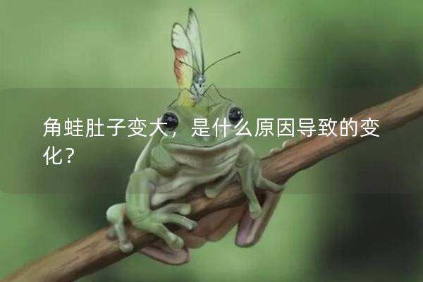 角蛙肚子變大，是什么原因導致的變化？